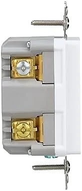 Wi-Fi Smart Receptacle — Smart Plug, Eaton