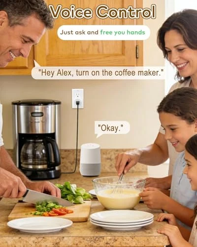 WiFi Smart Plug with Remote — Smart Plug, NineLeaf