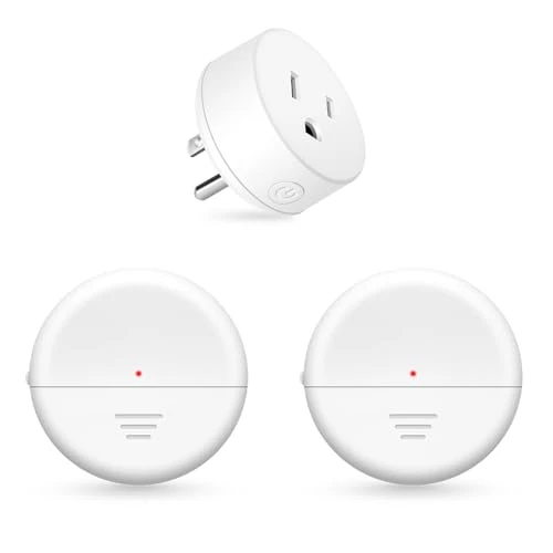WiFi Smart Plug with Remote — Smart Plug, NineLeaf