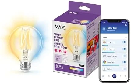 Color G25 Filament LED Smart Bulb — Smart Light Bulb, WiZ Connected