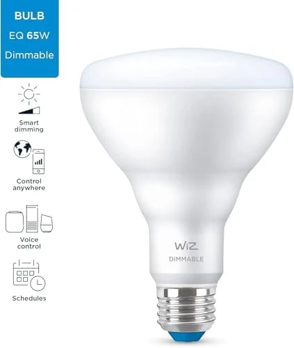 LED Smart Bulb - Pack of 2 - 650 Lumen - E26 - Indoor — Smart Light Bulb, WiZ Connected