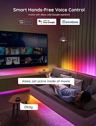 RGBIC LED Strip Lights — LED Strip Lights, Govee