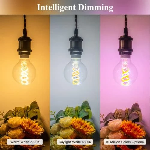 Smart Edison Bulb G80, Color Changing WiFi Smart Light Bulb — Smart Light Bulb, DiCUNO