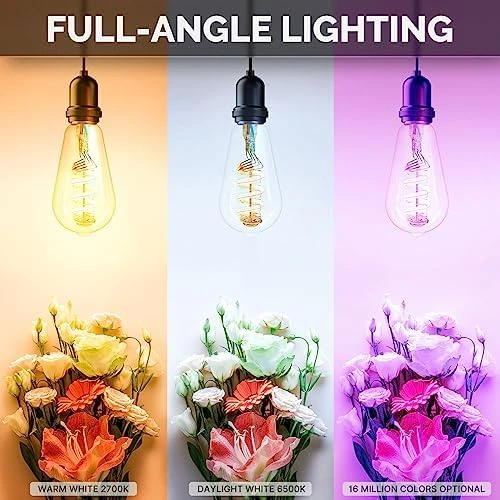 Smart ST64 Edison LED Light Bulbs — Smart Light Bulb, MOES