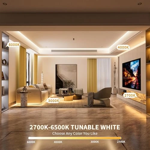 COB LED Strip Lights, CCT Smart IC — LED Strip Lights, PAUTIX