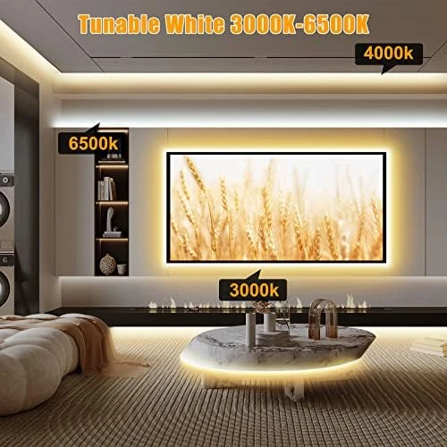Tunable White Smart COB LED Strip Light Kit 16.4ft — LED Strip Lights, Tatazone