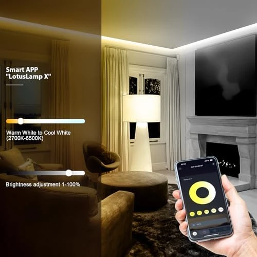 COB LED Strip Light — LED Strip Lights, Wefomey