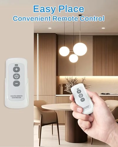 Smart Dimmer Switch with Bluetooth Remote — Smart Switch, Avatar Controls