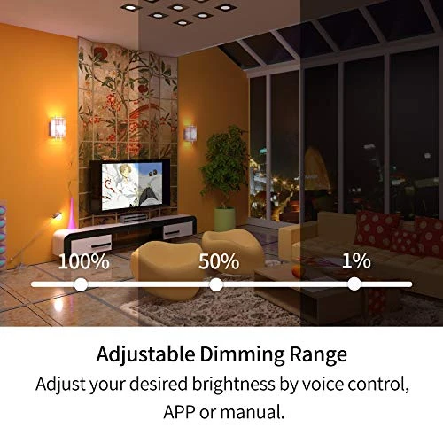 Smart Dimmer Switch with Bluetooth Remote — Smart Switch, Avatar Controls