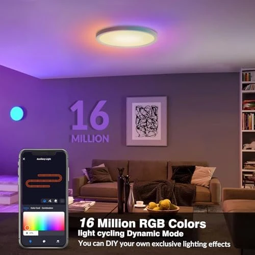 Smart RGB LED Ceiling Light with Remote — Smart Light Bulb, TITISLUMP