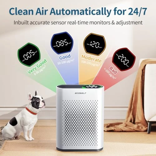 Air Purifier for Large Room — Air Purifier, ECOSELF