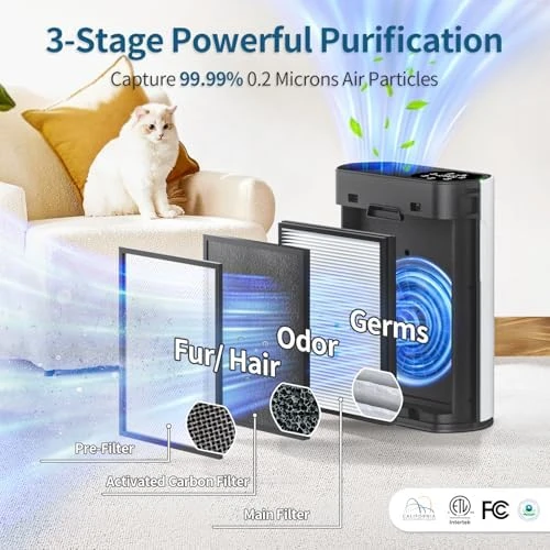 Air Purifier for Large Room — Air Purifier, ECOSELF
