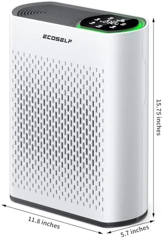 Air Purifier for Large Room — Air Purifier, ECOSELF
