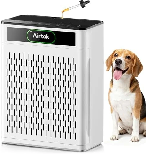 Air Purifier for Large Room — Air Purifier, AIRTOK