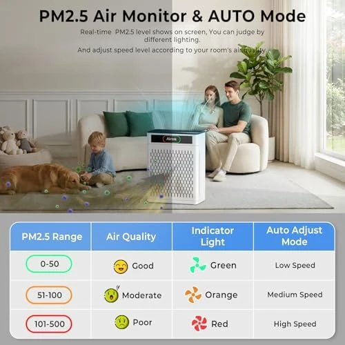 Air Purifier for Large Room — Air Purifier, AIRTOK