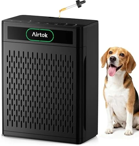 Air Purifier for Large Room — Air Purifier, AIRTOK