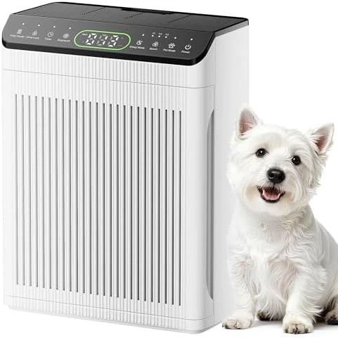Air Purifier for Large Room — Air Purifier, Evalit