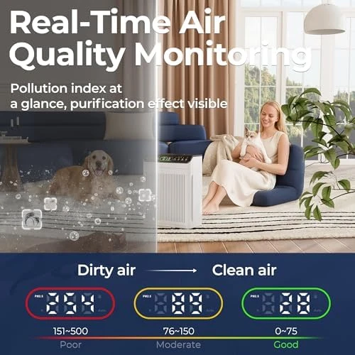 Air Purifier for Large Room — Air Purifier, Evalit