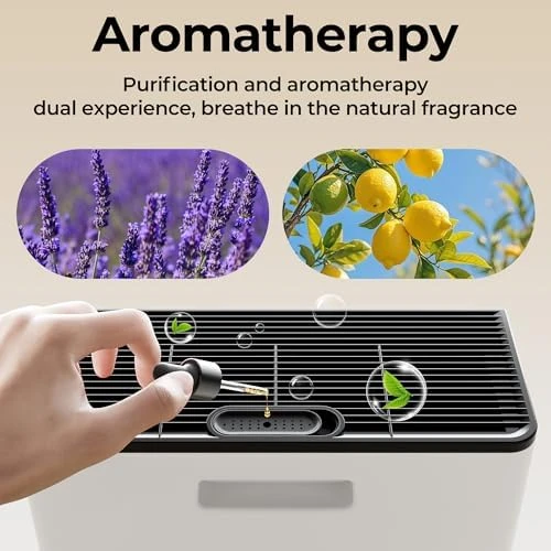 Air Purifier for Large Room — Air Purifier, Evalit