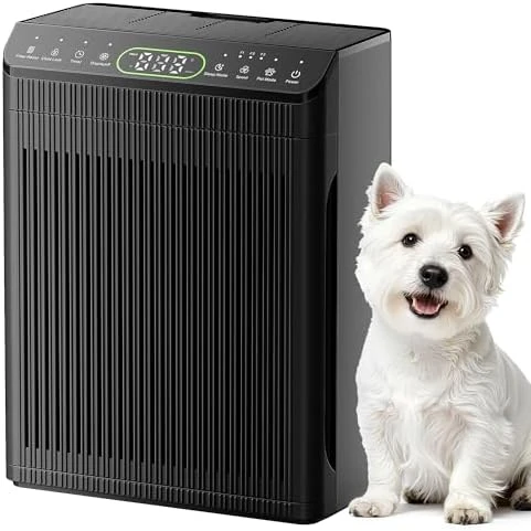 Air Purifier for Large Room — Air Purifier, Evalit