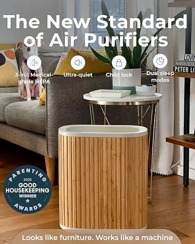 Air Purifier Max — Air Purifier, Windmill