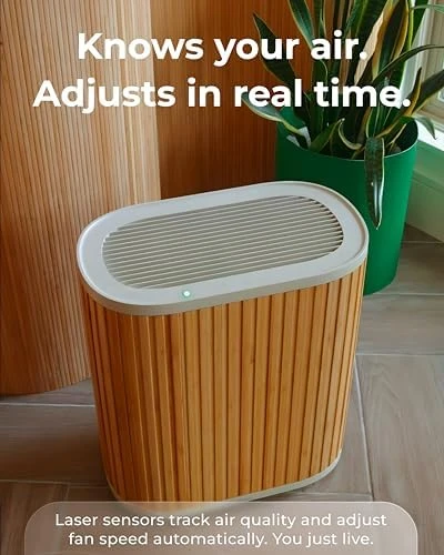 Air Purifier Max — Air Purifier, Windmill