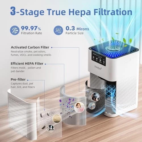 Air Purifiers for Bedroom with 3-in-1 HEPA Filter — Air Purifier, Aroma Room
