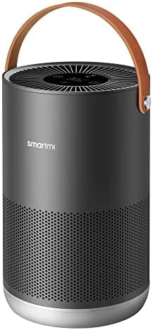 Air Purifiers for Home with Handle — Air Purifier, Smartmi