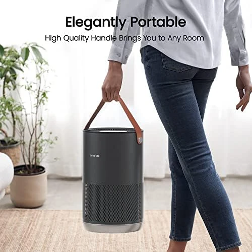 Air Purifiers for Home with Handle — Air Purifier, Smartmi