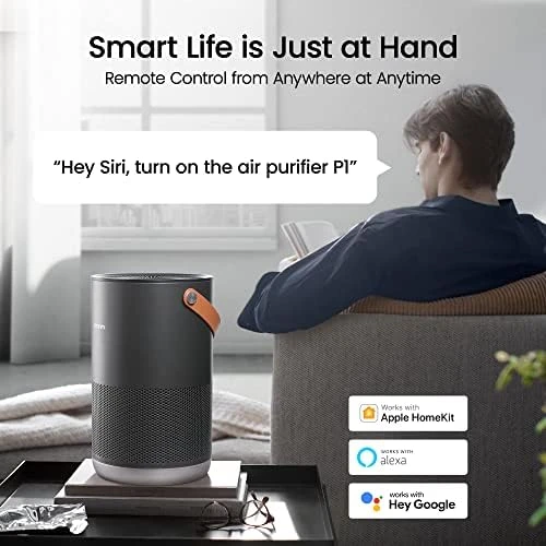 Air Purifiers for Home with Handle — Air Purifier, Smartmi