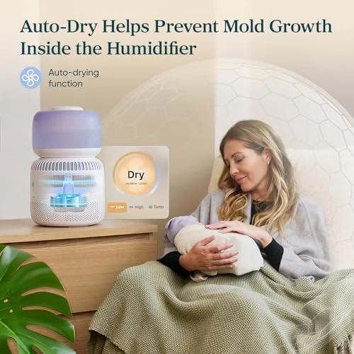 Evaporative Humidifier — Humidifier, LEVOIT
