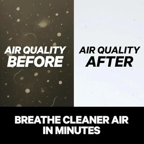 HEPA Air Purifier for Home Pets — Air Purifier, PuroAir