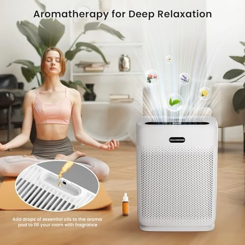 Large Room Air Purifier 3000 sq.ft with Washable Filters — Air Purifier, Visit the HEARBOBO Store