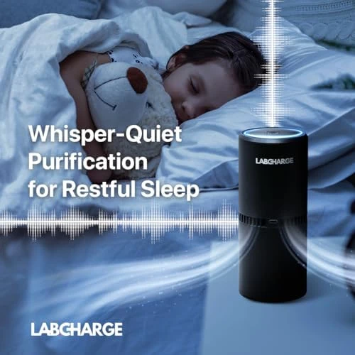 Small Ionic Air Purifier for Home & Bedroom – Silent HEPA Filter – Covers 250 Sq Ft – For Pet Hair, Smoke, Dust, Odors &... — Air Purifier, Lab Charge