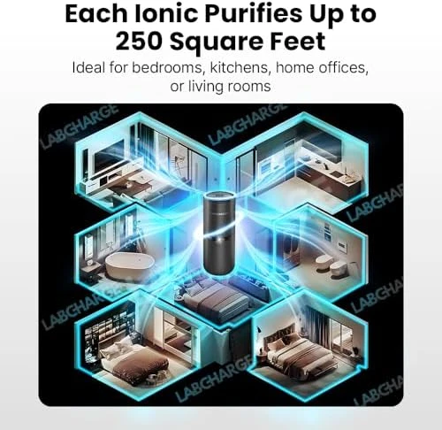 Small Ionic Air Purifier for Home & Bedroom – Silent HEPA Filter – Covers 250 Sq Ft – For Pet Hair, Smoke, Dust, Odors &... — Air Purifier, Lab Charge