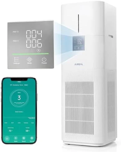 Air Purifier and Humidifier Combo for Large Rooms — Humidifier, AIREAL