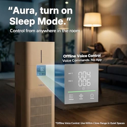 Air Purifier and Humidifier Combo for Large Rooms — Humidifier, AIREAL
