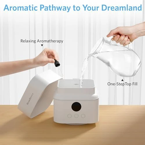 Air Purifier and Humidifier Combo — Humidifier, HomBreez