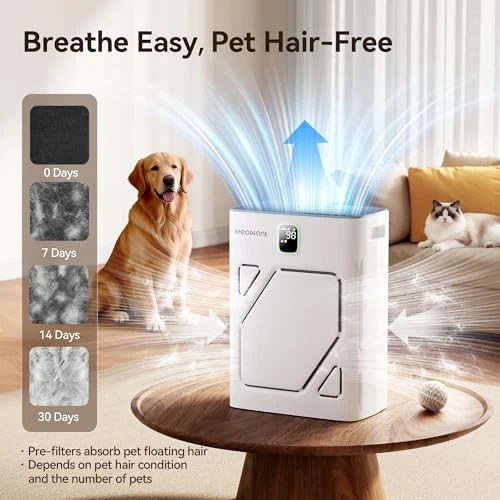 Air Purifier for Home Large Room 2600ft² — Air Purifier, Meowant