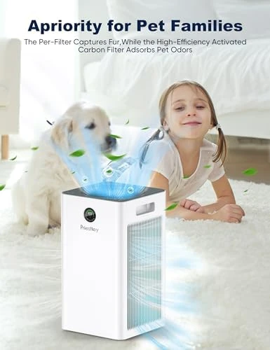 Air Purifier for Home Large Room up to 1500 sq ft — Air Purifier, Priestley