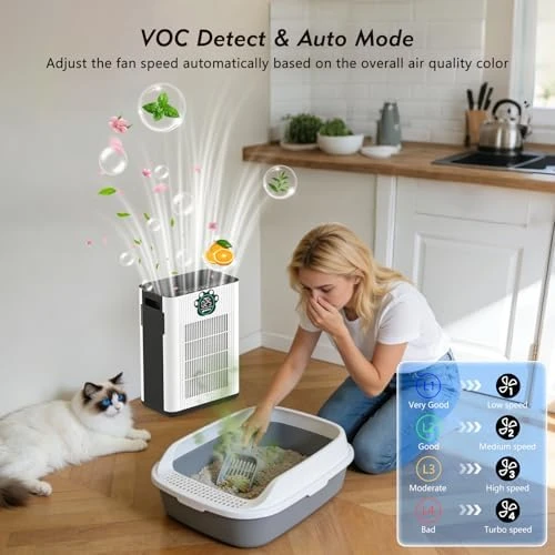 Air Purifier for Home Large Room Up to 3400 ft² — Air Purifier, DAYETTE
