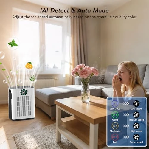 Air Purifier for Home Large Room Up to 3400 ft² — Air Purifier, DAYETTE