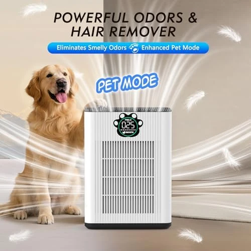 Air Purifier for Home Large Room Up to 3400 ft² — Air Purifier, DAYETTE
