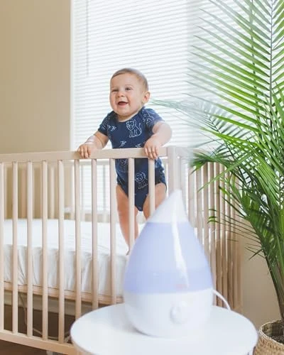 Ultrasonic Cool Mist Humidifier — Humidifier, Crane