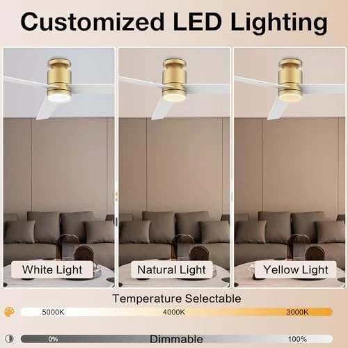 52” Smart Flush Mount Ceiling Fan with Lights and Remote — Smart Fan, Lorpies