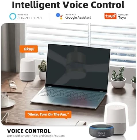 Smart Ceiling Fan with Light — Smart Fan, OKELI