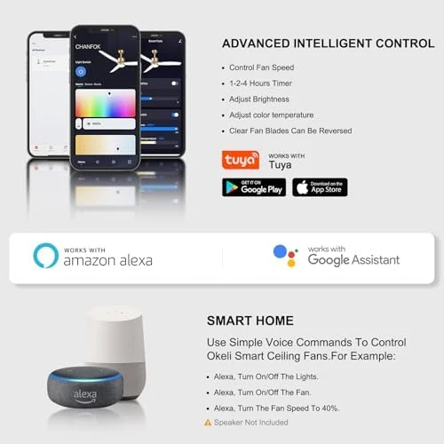 Smart Ceiling Fan with Light — Smart Fan, OKELI