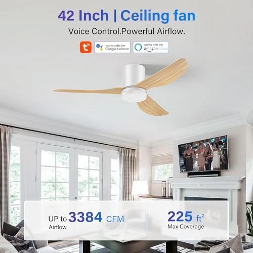 Smart Ceiling Fan with Lights and Remote — Smart Fan, GentleBreeze