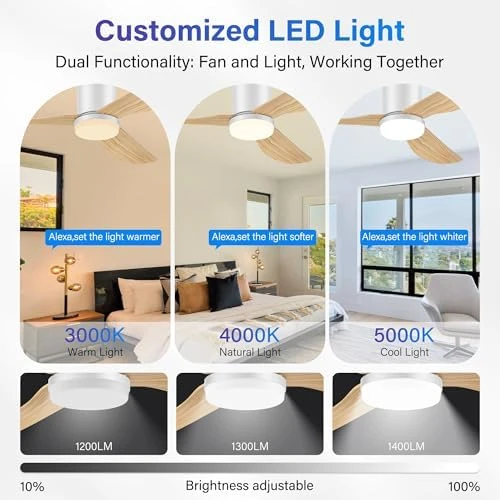 Smart Ceiling Fan with Lights and Remote — Smart Fan, GentleBreeze
