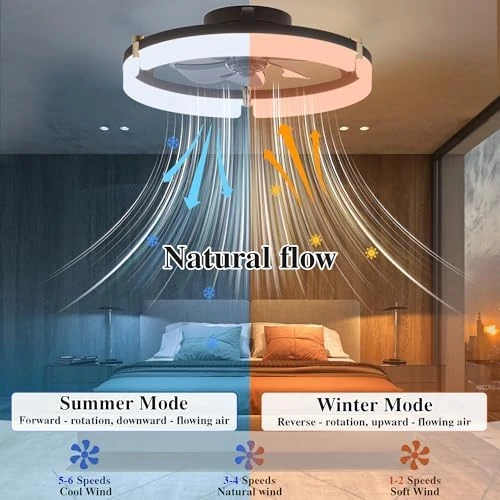 Smart Ceiling Fan with Lights Remote — Smart Fan, DIAMONDFORGE